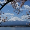 河口湖長崎公園にて