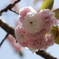 ぼたん桜 