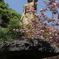 不動尊一心寺