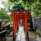 根津神社の乙女稲荷