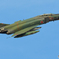 20170224 百里基地　RF-4