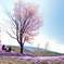 春　闌