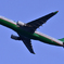 FLY