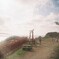 海と風と夕日が気持ちいい神社
