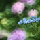20160620105528_IMG_7905
