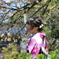 遅さき八重桜と着物女性