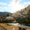 photo_6670332