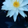 DSC04604