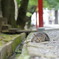 DSC04577