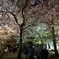祇園白川