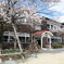 桜と小学校