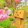 お花にこんにちわ