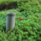 苔の絨毯
