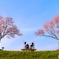 春、みぃ〜つけた！