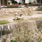 京都 哲学の道 釣りをしているクマ