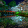 夜の弘前公園 I