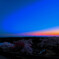 夕日の中の散り行く桜