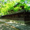 新緑の御霊神社