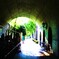 over the darkness