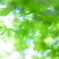 Lens blur