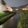 春の夜　満開
