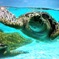 水族館にて