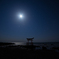 moonlight