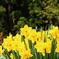 photo_6689492