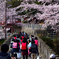 新学期始まる。