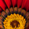 Radially