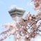 Spring has come