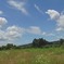 DSC00808