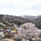 桜仙峡