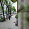 旧居留地