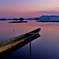 西の湖晩景
