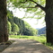 この間をくぐれば！