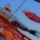 H２９．５．５東京タワー②