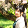 城の桜