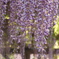 FD8D676F-878C-4A17-9314-7A949E11A270