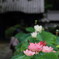 心静めて