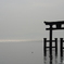 白鬚神社