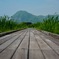 続くの道