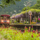 5月の長良川鉄道
