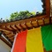 明日香村　大字岡 岡本寺春季護摩法要 子安観音祭
