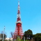 昔、東京土産で買いました