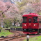 桜舞う駅