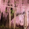 香りの滝
