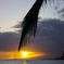 Sunset②