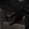 T・レックス01