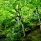 5月5日　嵐山２